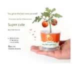 stage for kids A hand holding a Home Office Mini Plant Potted/Kids DIY Plant Toys Kids Planting kit in a pot.